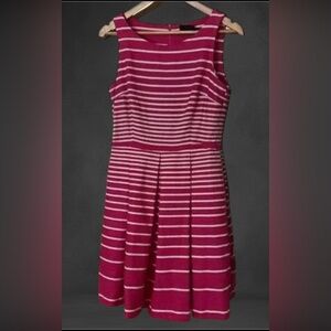 Taylor striped Fit and Flare A Line Pleated Sleeveless Dress Pink‎ Size 6